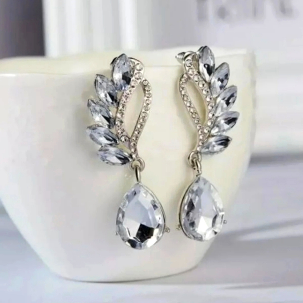 Crystal Teardrop
Dangled Earrings